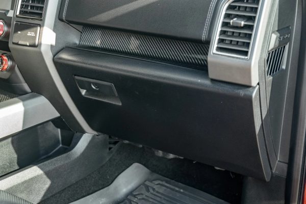 2019 Ford F-150 Raptor - Image 28