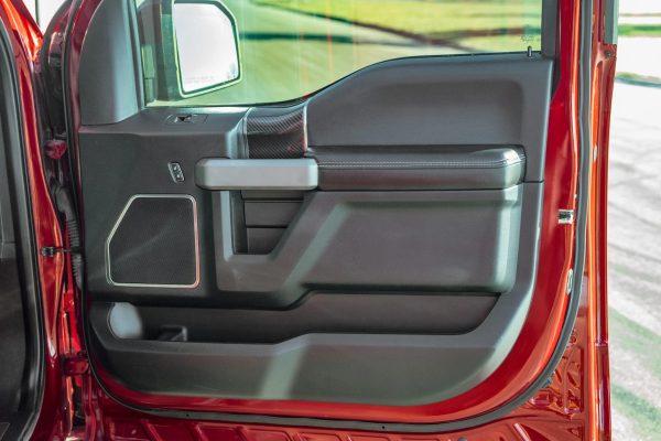 2019 Ford F-150 Raptor - Image 3