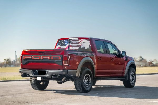 2019 Ford F-150 Raptor - Image 4